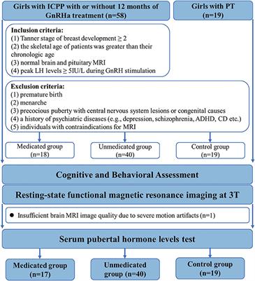 Influence of Gonadotropin Hormone Releasing Hormone Agonists on Interhemispheric Functional Connectivity in Girls With Idiopathic Central Precocious Puberty